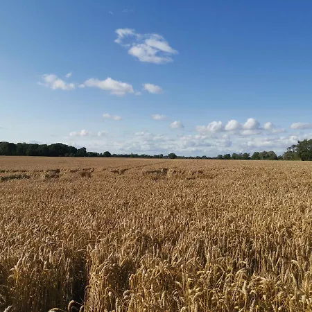 Exelby Dragon Bed & Breakfast 3*