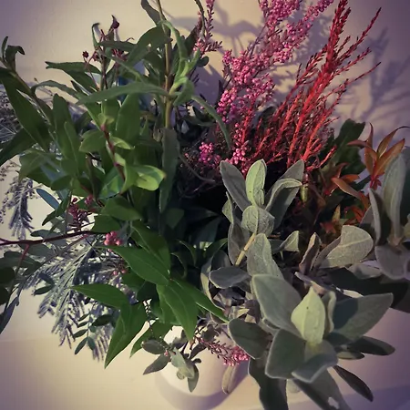 Bed & Breakfast Exelby Dragon 3*