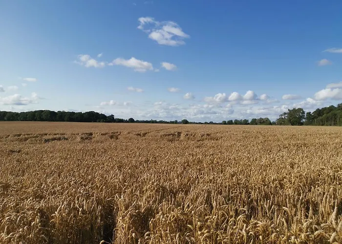 Exelby Dragon Bed and breakfast 3*