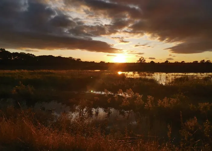 Exelby Dragon Leeming Bar