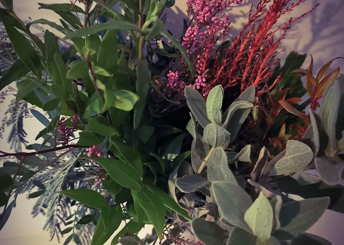 Bed and breakfast Exelby Dragon 3*