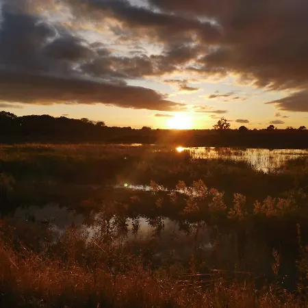 Exelby Dragon Leeming Bar
